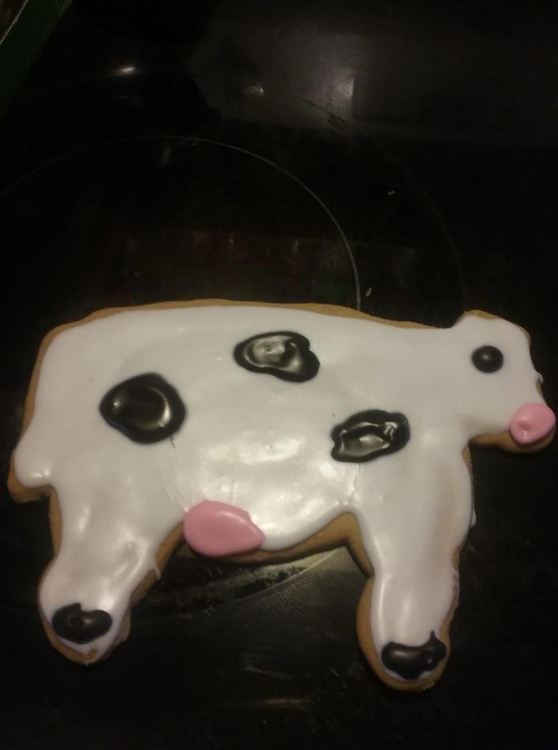 Jim went to Wisconsin and came home with a cow for me.