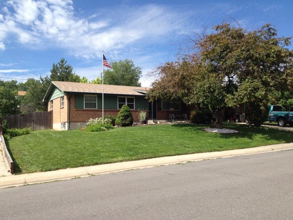 After weeks of weed pulling and reseeding three times I finally got a front yard