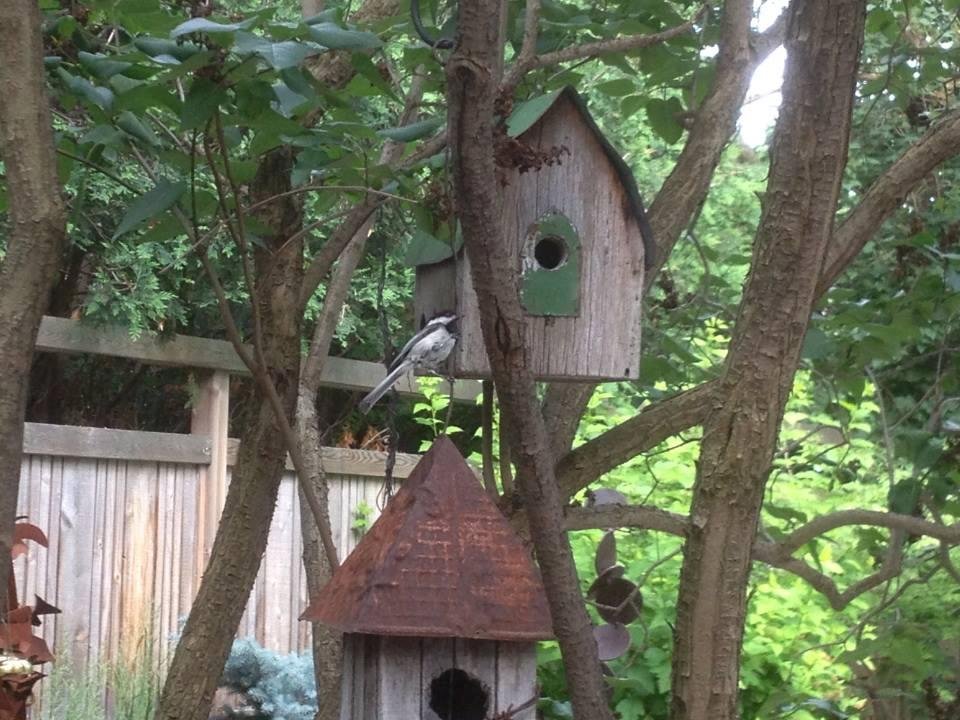 A potential tenant checks out the accommodations at Casa McGill Buckley.