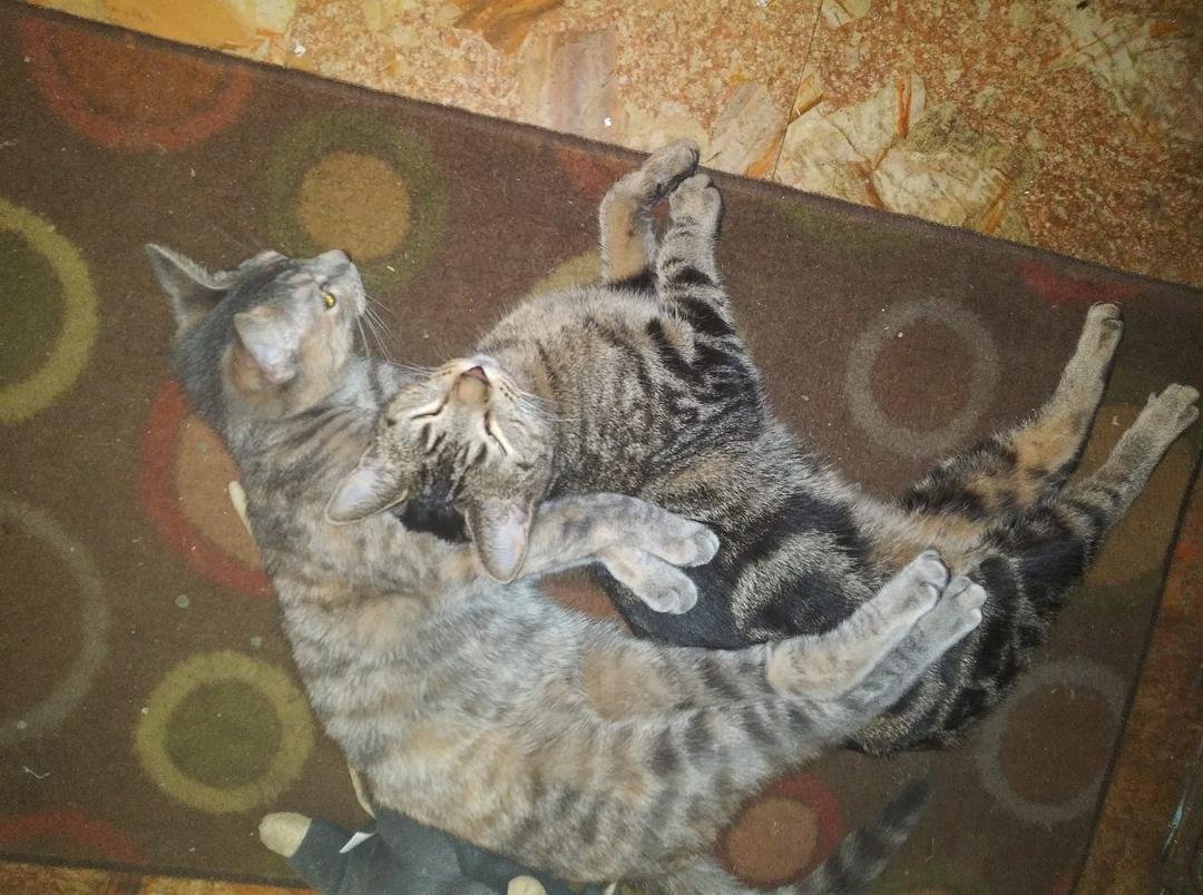 Awwwww