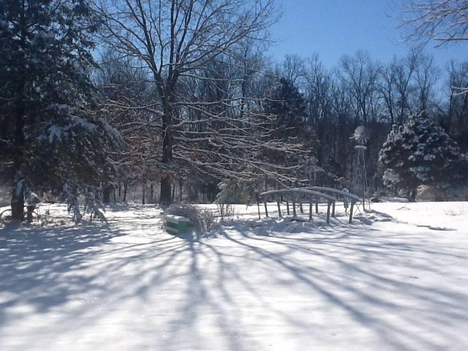 Pat Simmons' album, Timeline Photos