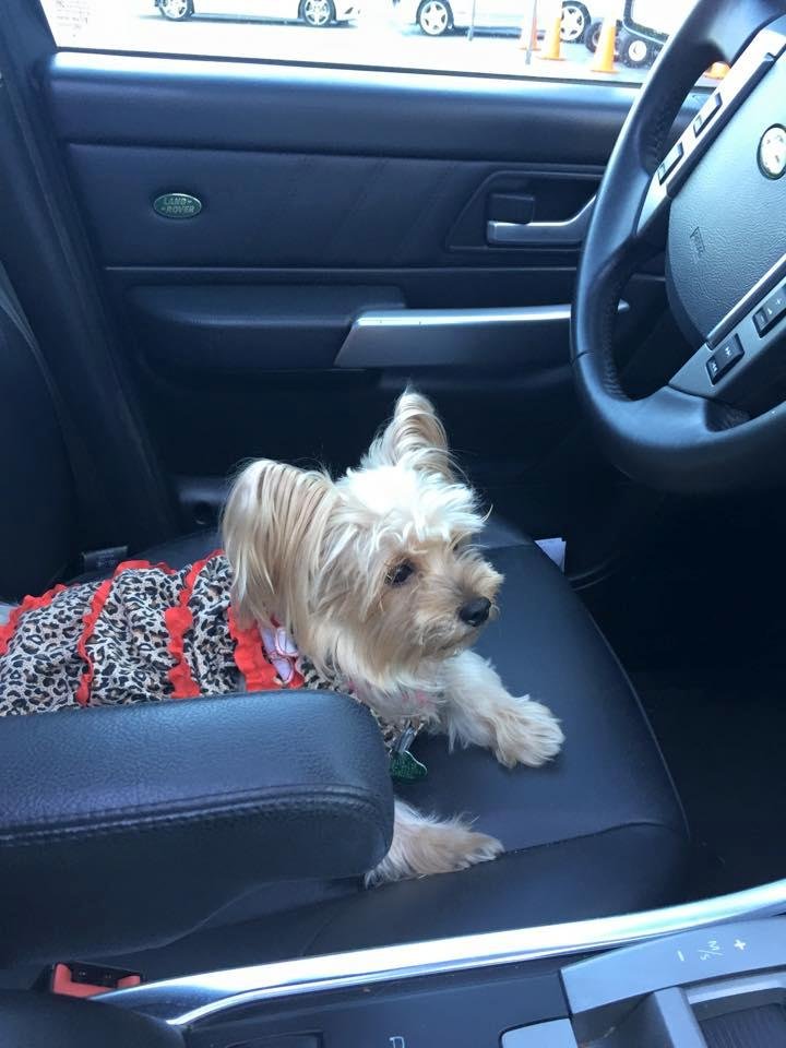 Nana waiting for dad to return from dropping off my car for service.