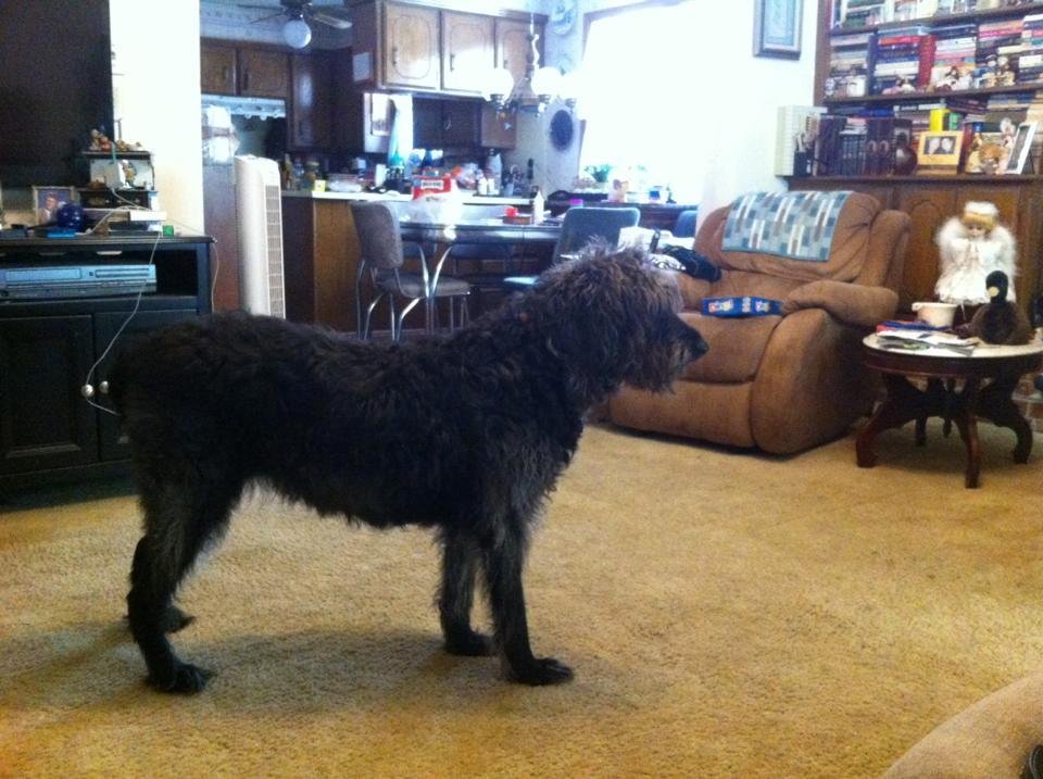 My weekend house guest