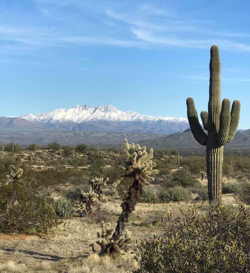 Arizona 2020