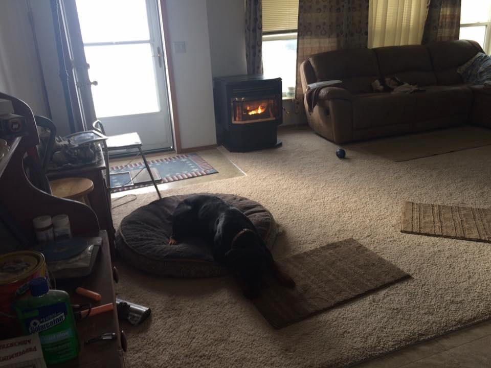 Cozy warm with shelby