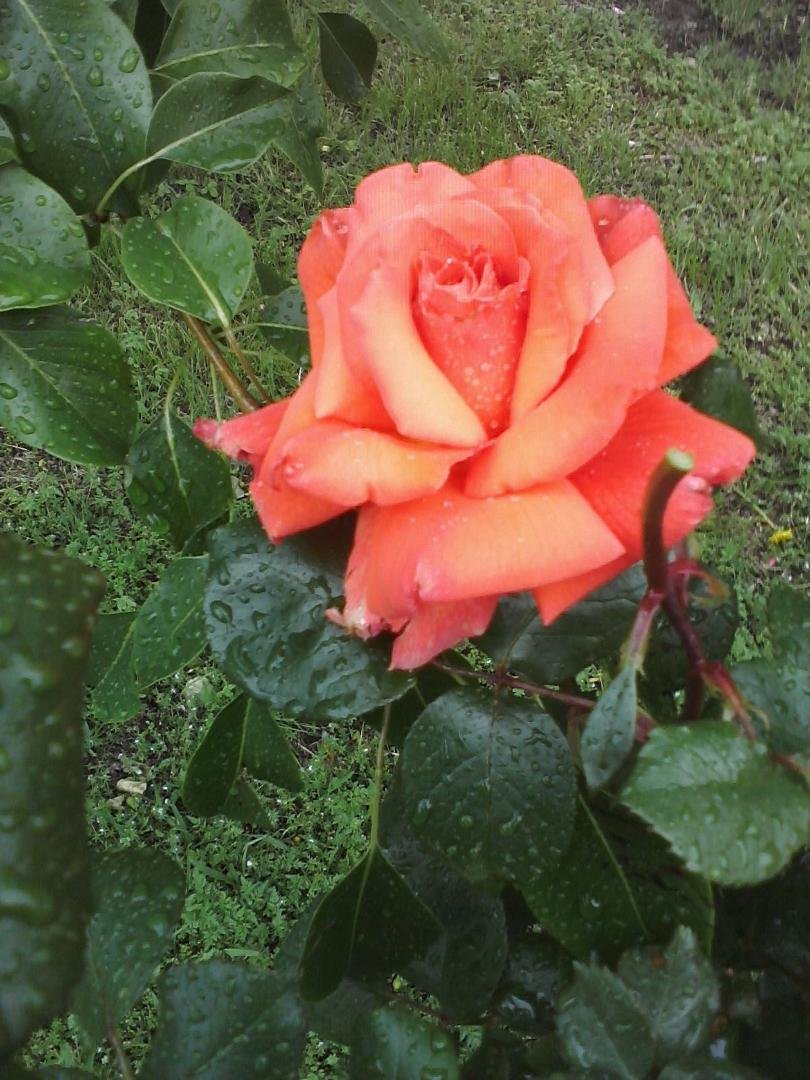 Linvin Doty's album, Timeline Photos