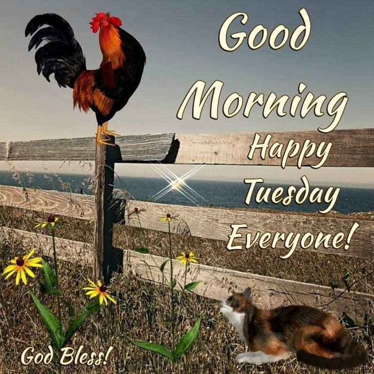 Happy Tuesday. Enjoy your day in spite of the cold weather.