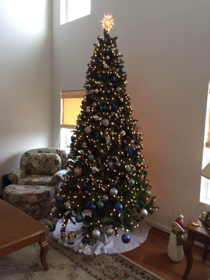 The tree is up. Let the holidays begin.🍻🎄🍸⛄️🎁