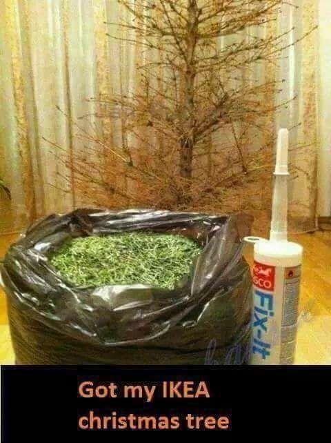What a bargain!