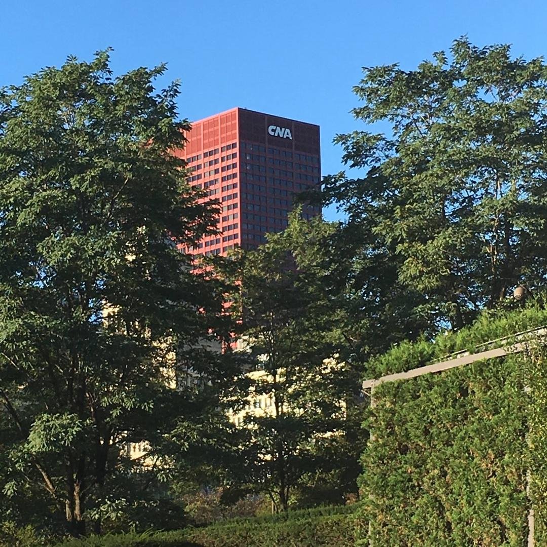 My son and daughter in-law ran a marathon this weekend in Chicago. Whenever they are there they take a photo of my long time employer's building. When I worked on the 40th floor, I was able to look out at Lake Michigan. I w