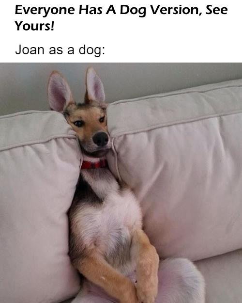 Joan North's album, Timeline photos