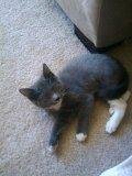 Name suggestions? 4 month old boy