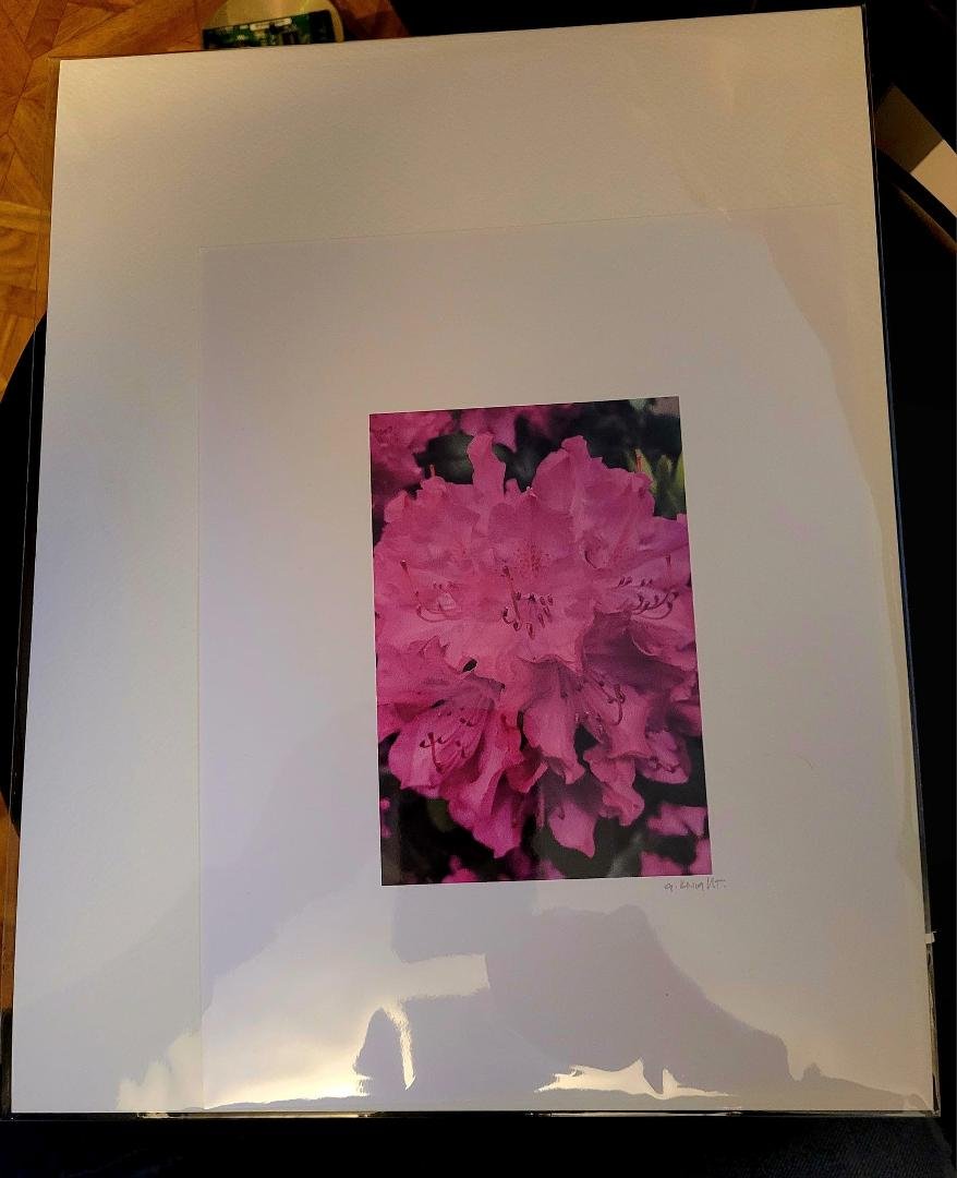 This print is available, let me know.
