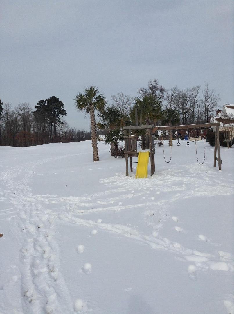 There is something about palm trees in the snow ...