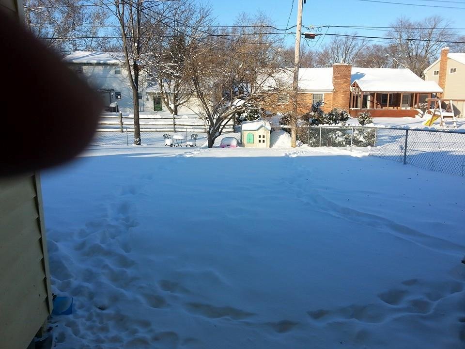Bella house and car