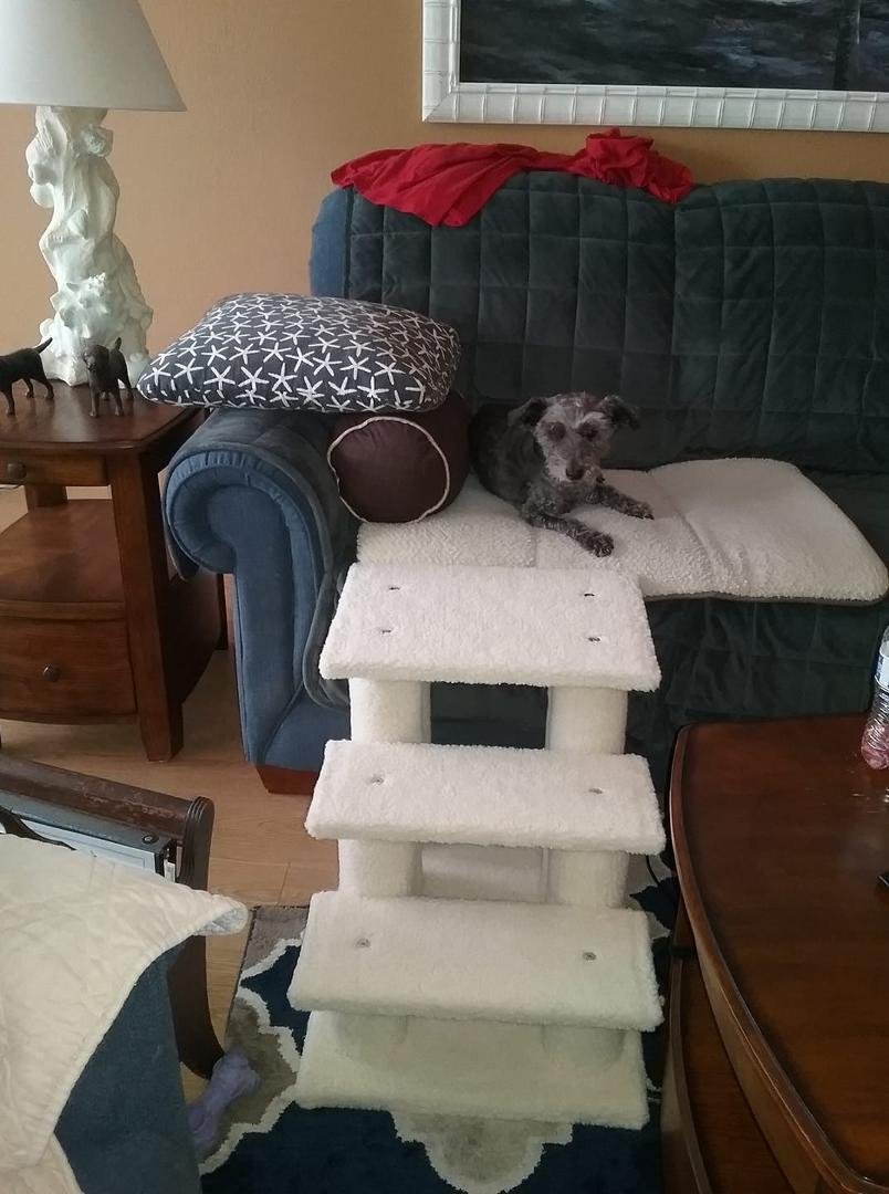 Barbara Prescop's album, Timeline Photos