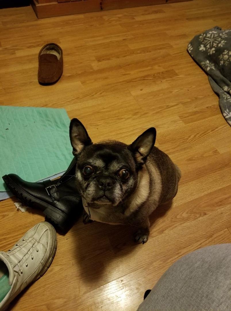 Dana Cruz, Mickie Wheeler Jones here's a latest picture of Ricky.
