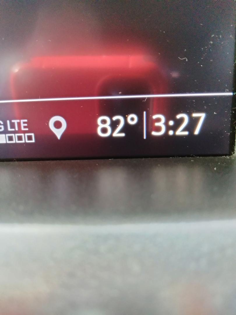 Winter in Florida 😎🤣