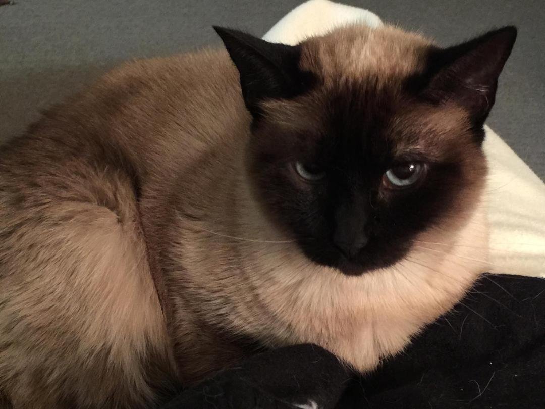 Such a serious expression