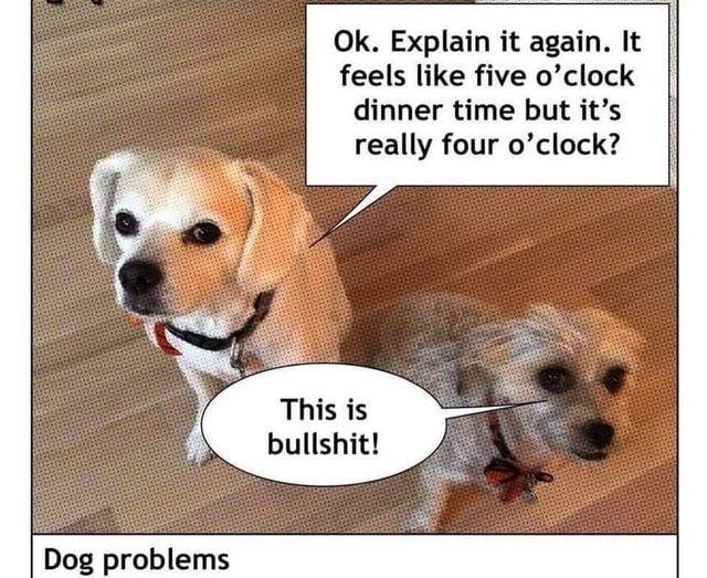 Daylight Savings Time sucks...