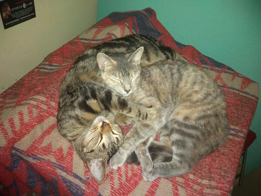 Caught them napping!