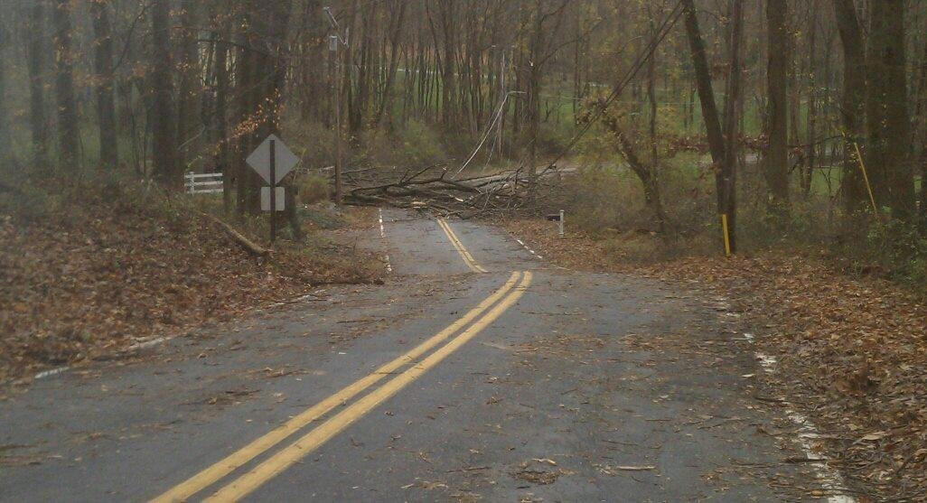 N. 4 Bridges Rd, by Dr Gutman.