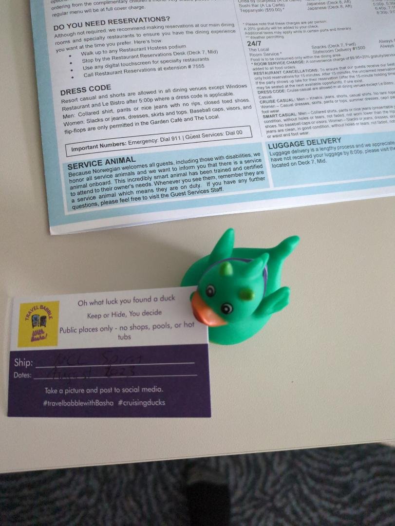 Over 25 cruises and I finally found a duck! It happened to be sitting on the safe in my new room for the second week in Alaska, but I found it!