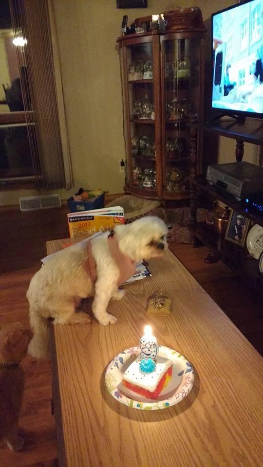 9 years old today_she didn't want to get close to the flame.