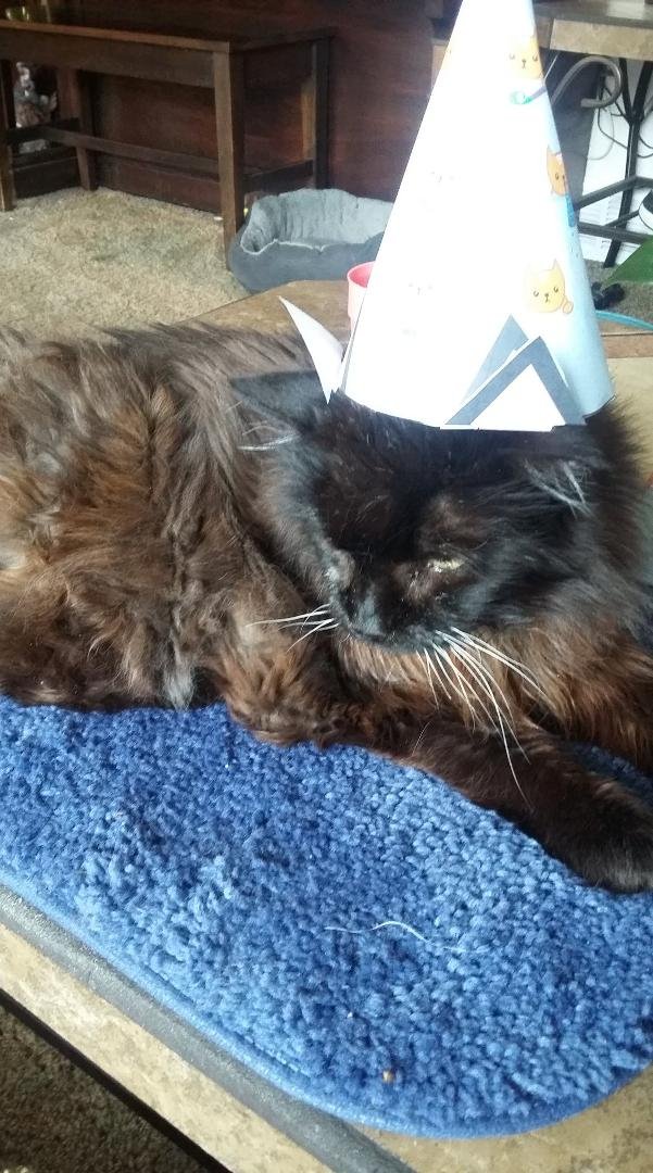 Tina on he birthday last year 20yrs old