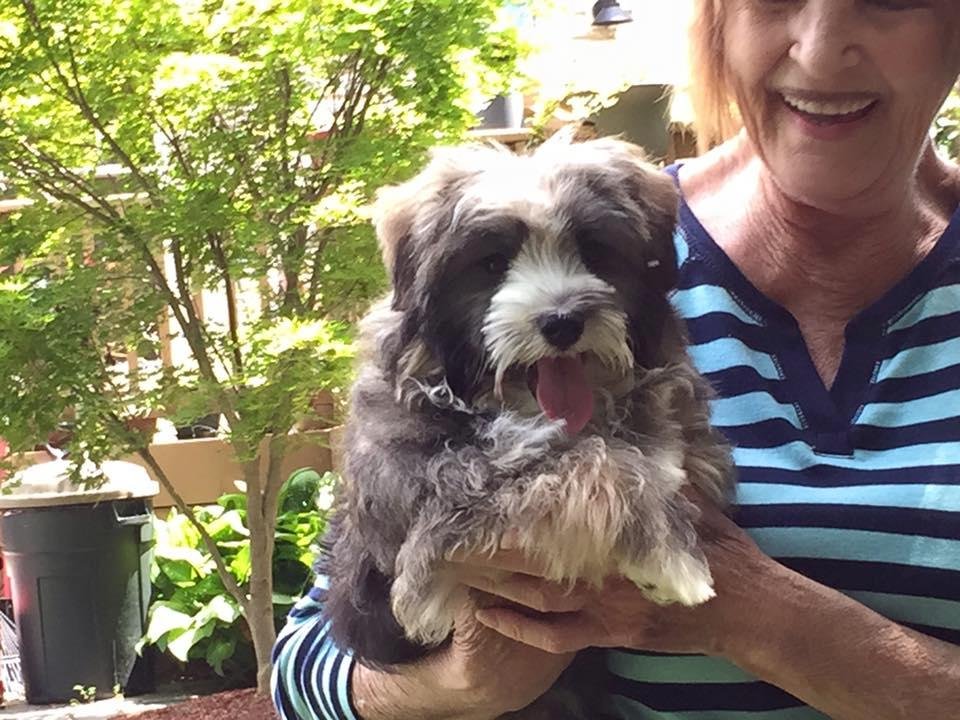 New family member. Maxwel