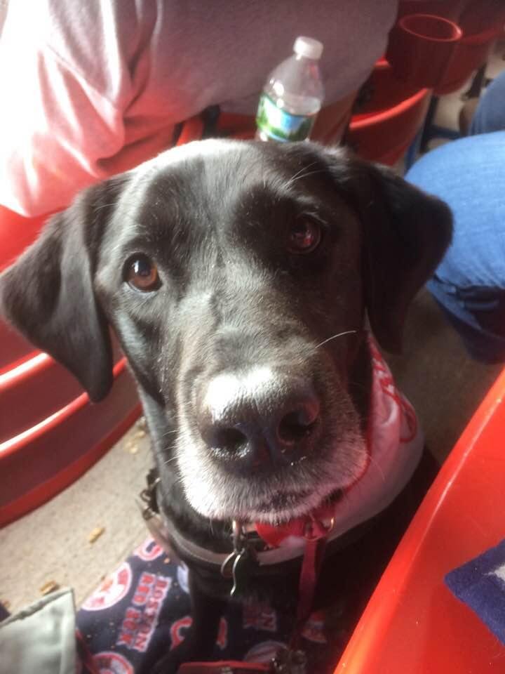 Is this game almost over? I want supper in my bowl.