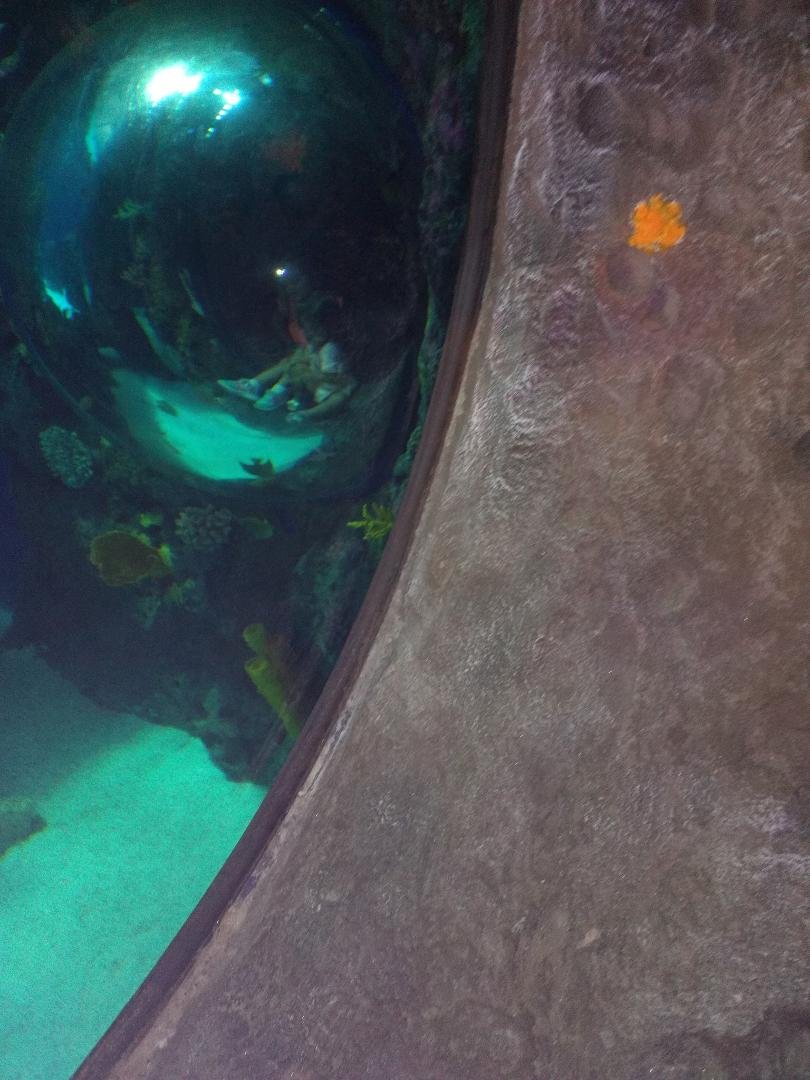 She found a friend in the cave