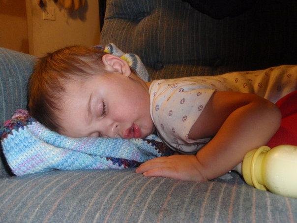 Zeke sleeping on living room sofa