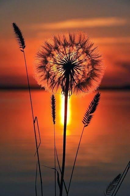 Deborah Pitt's album, Timeline Photos