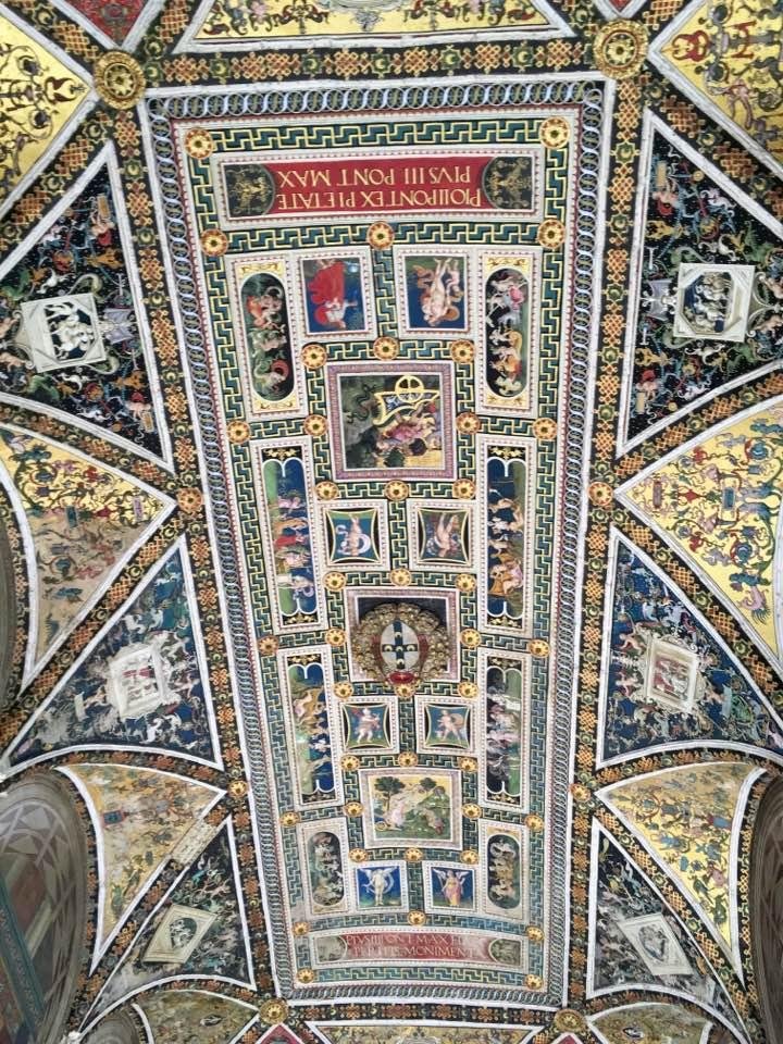 The ceiling of the library in the Basilica of the Vatican. So many like this in all of the Churches we visited . Marvellous work!!