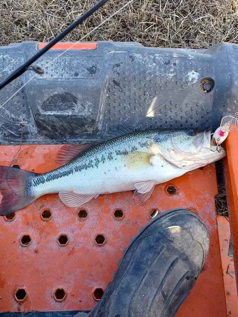 Couple 2 pounders nice day.