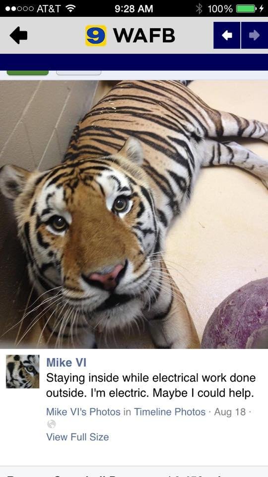 Michael Chaney's album, Mobile uploads