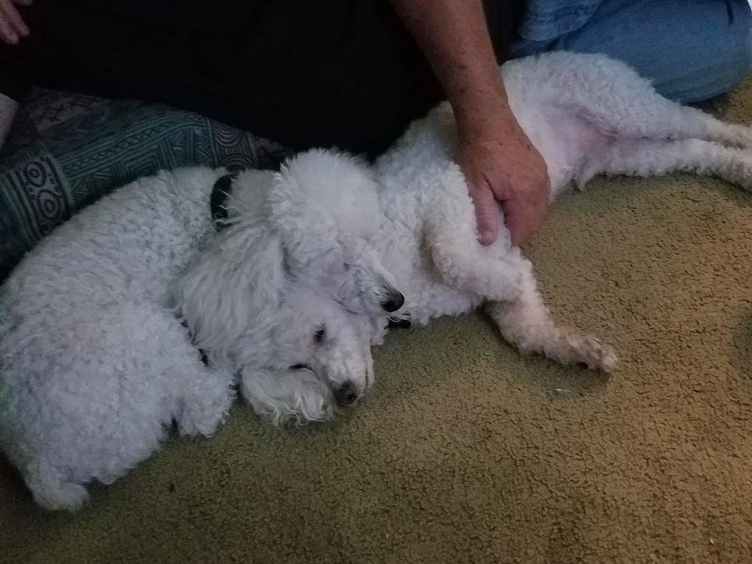 Two of the 3. Cooper and Lennie.