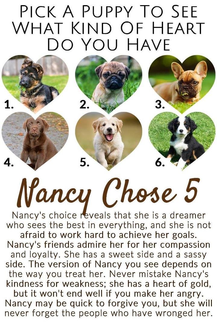 Nancy Carrozzi's album, Timeline Photos