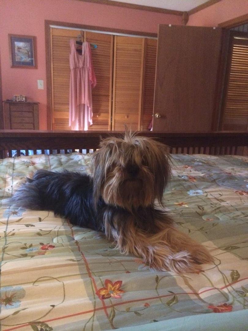Bed head.