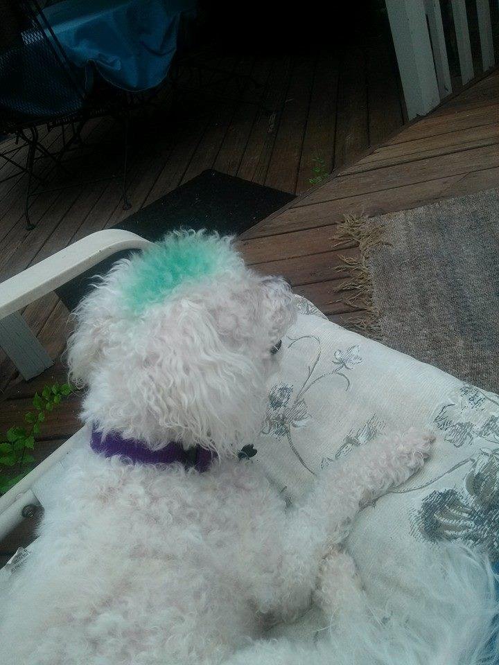 Enjoying vacation on the deck with
Grandpa