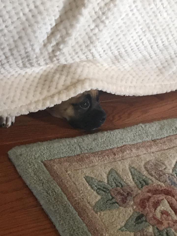 I’m hiding. No one can see me!!!