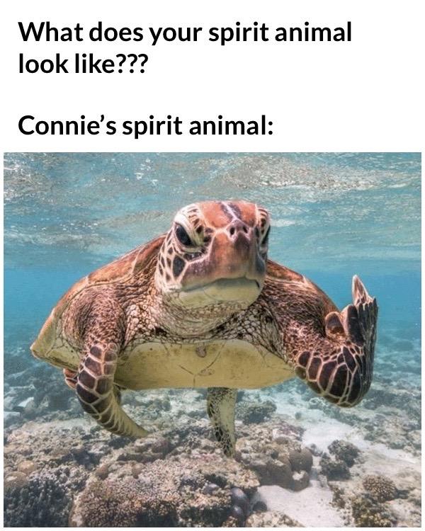I can live hundreds of years.