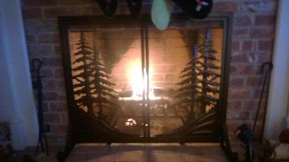 Just got our new fireplace screen. Kind of resembles a pic from the California fires..yikes!
