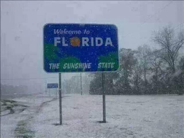 Can you believe this, the last time I saw this back in the 80's when all the orange trees in central fl, also I-4 were killed we ha