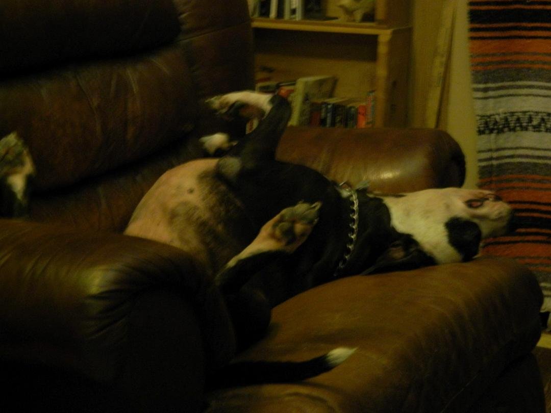 GOODNIGHT VITA,BONNIE,PAM, HELEN AND ALL