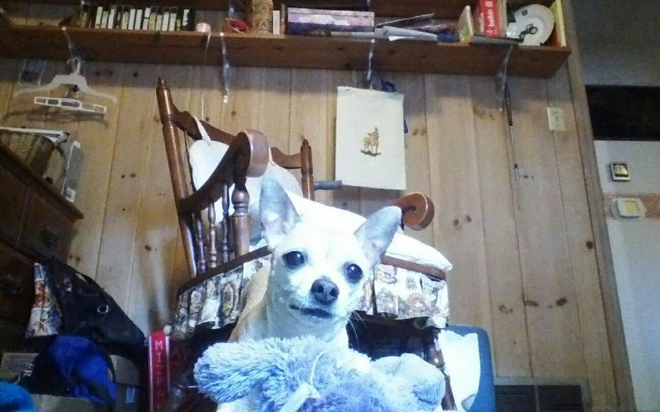 Today is Precious's birthday too!