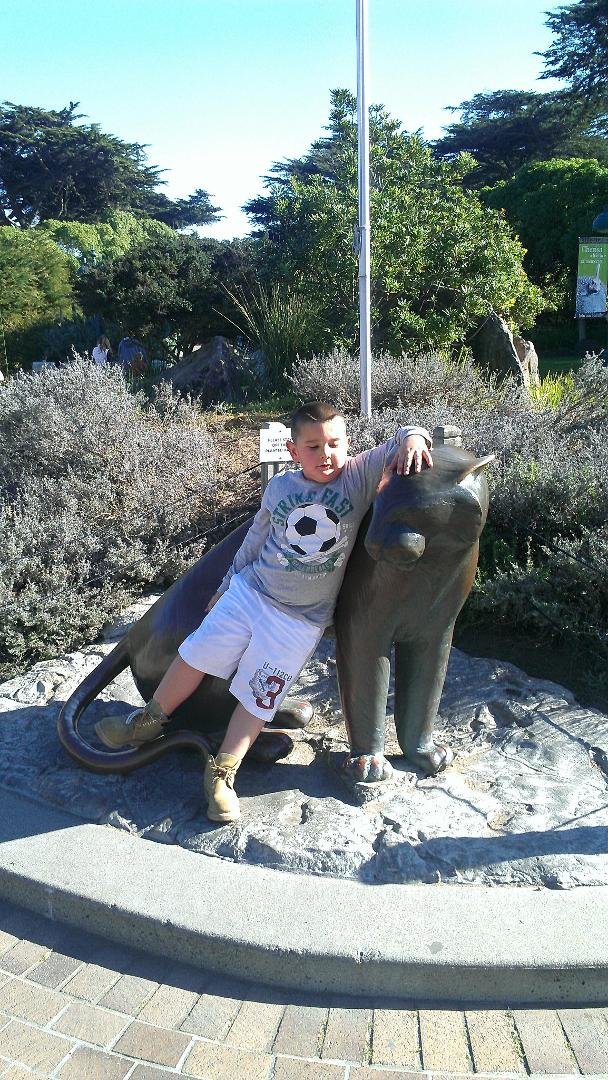 Our handsome grandson we took him to the San Francisco Zoo.. He had fun....