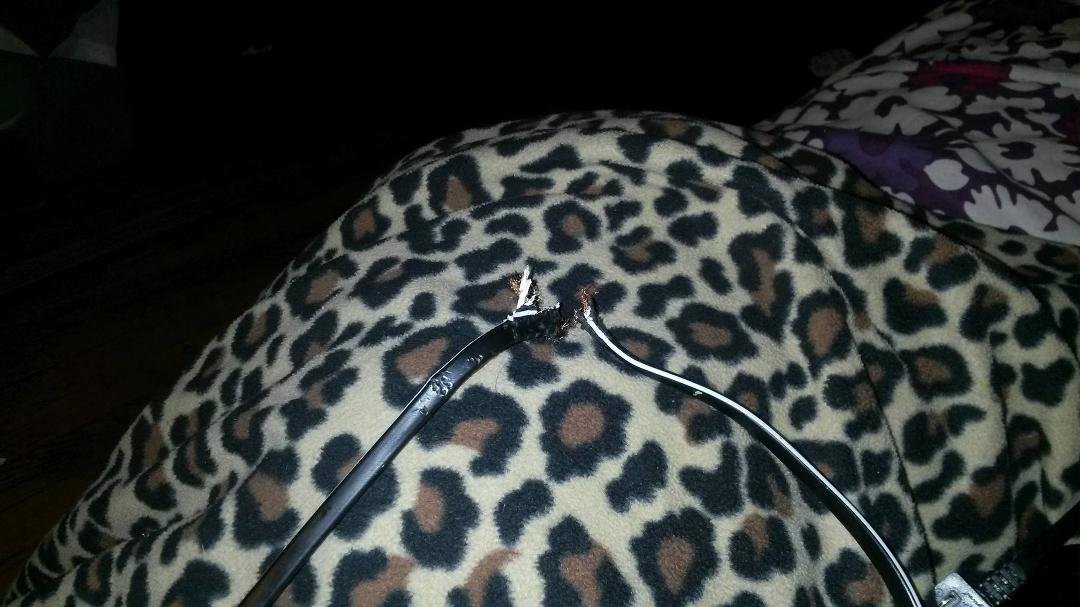 Look what this dang on dog prince did he got to go who won'ts him.