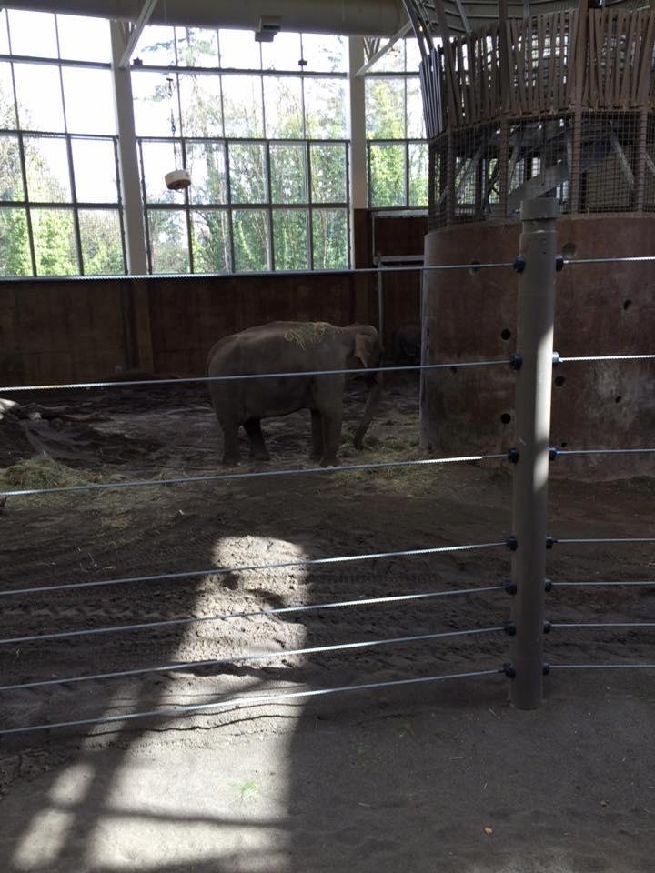 Susan Phipps' album, Mobile Uploads